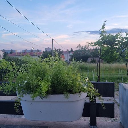 Apartman Dasa غييكا المظهر الخارجي الصورة